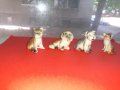 Лот много красиви фигури кученца миниатюри порцелан, снимка 3
