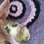 Сладки морски свинчета, снимка 5