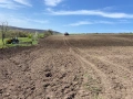 Продавам земеделска земя / нива в област Варна с 100 лв рента, снимка 1