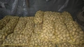 Продавам Картофи, сорт Сорая, снимка 1
