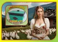 Инкубатори за яйца, Инкубатор, люпилня - български, снимка 1