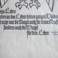 Немски документ диплома 3 Райх Адолф Хитлер, снимка 8 - Колекции - 33821615