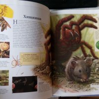Голяма детска енциклопедия. Том 1: Животни, снимка 4 - Енциклопедии, справочници - 31346964