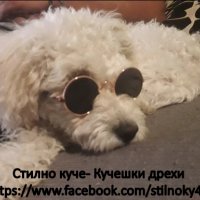 Кучешки очила Очила за куче Аксесоари за куче Аксесоар за куче Аксесоари за кучета Кучешки аксесоари, снимка 6 - За кучета - 29271108