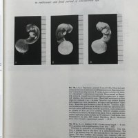 Эмбриология человека Атлас - Л. И. Фалин, снимка 6 - Специализирана литература - 35205923
