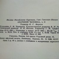 Анатомия Человека - М.Курепикина,Г.Воккен - 1963г. , снимка 12 - Специализирана литература - 39010401