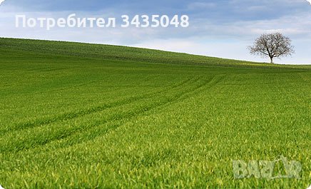 Изгодно! Земя от собственик в близост до главен път, снимка 1