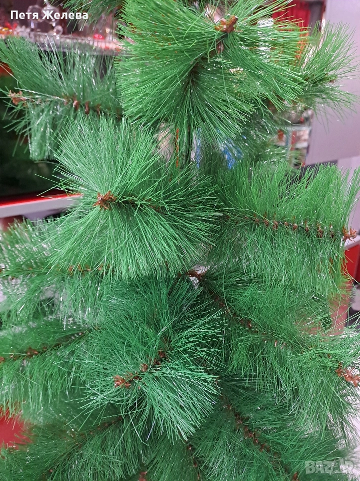 Елха 110/65см, снимка 1