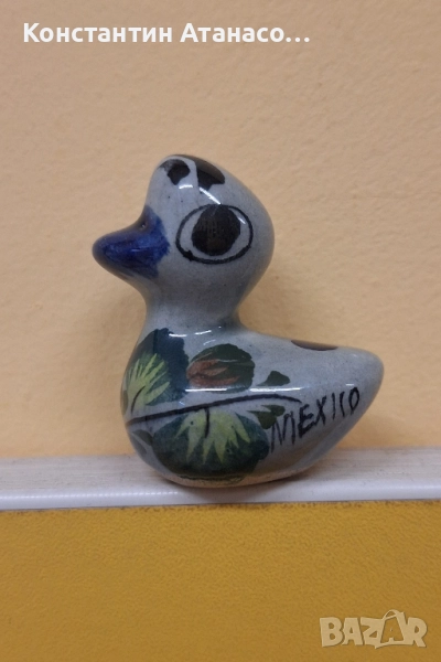 Старо Мексиканско пате, снимка 1