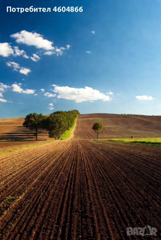 Продавам поземлен имот в землището на с. Мусачево, град София 13.1 дка на 600м от потбалкански път., снимка 1