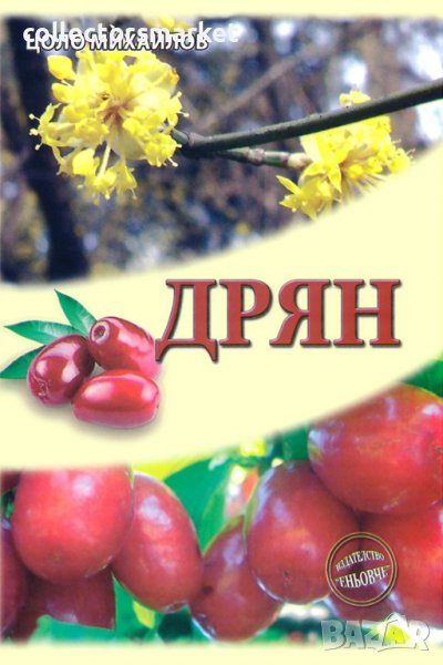 Дрян, снимка 1
