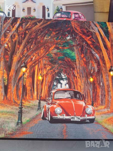 Картина , снимка 1