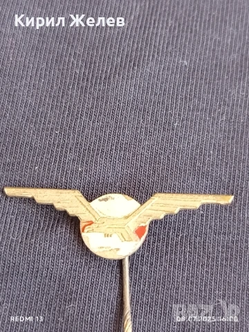 Значка на авиатор или ПИЛОТСКИ КРИЛА за КОЛЕКЦИЯ ДЕКОРАЦИЯ 35237, снимка 3 - Други ценни предмети - 50951640