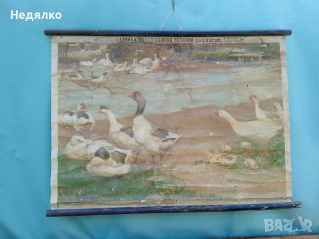 Стара карта, картина,1900г,RRR, снимка 2 - Антикварни и старинни предмети - 40688296