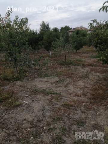 Продавам къща в с.Караджово, снимка 4 - Къщи - 51871186