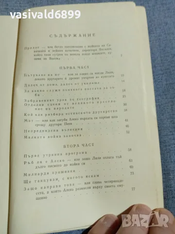 Димитър Гулев - Случка през лятото , снимка 5 - Българска литература - 56086805