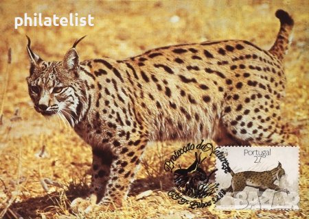 Португалия 1988 - 4 броя Карти Максимум - WWF, снимка 2 - Филателия - 38881731