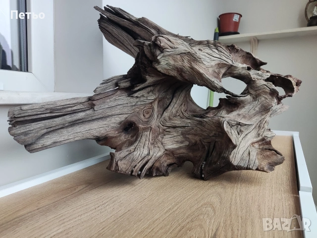 Голям мангров корен, снимка 2 - Оборудване за аквариуми - 53931517