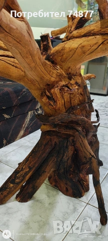 Маса от корен , снимка 3 - Маси - 53213606