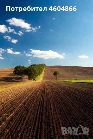 Продавам поземлен имот в землището на с. Мусачево, град София 13.1 дка на 600м от потбалкански път.