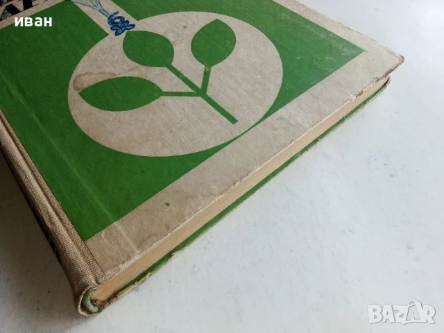 Фитофармация - Александър Христов - 1969г., снимка 5 - Специализирана литература - 50577390