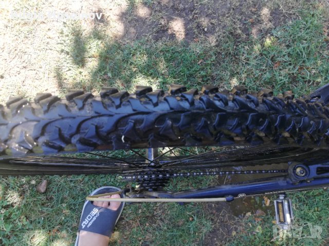 Велосипед пасат, снимка 6 - Велосипеди - 33758859