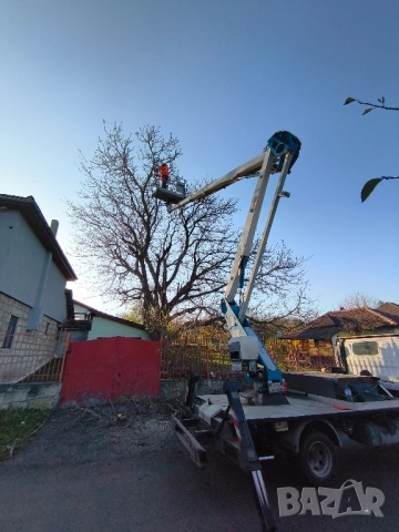 рязане, кастрене и почистване , снимка 2 - Други услуги - 43017277