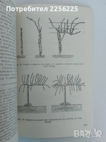 ЛОТ Лозарство, снимка 2 - Специализирана литература - 51325237