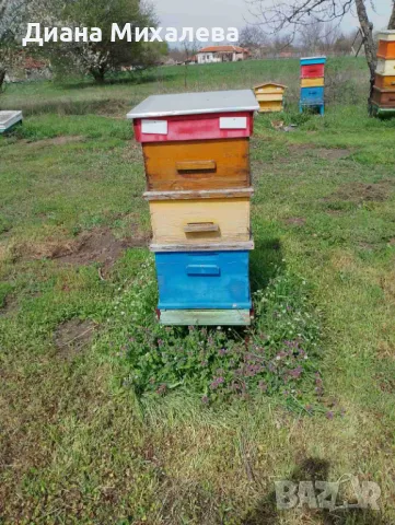 Пчелни кошери, снимка 3 - За пчели - 49767179