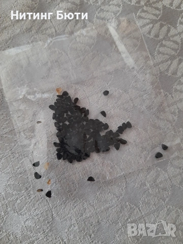 семена от самардала , снимка 2 - Сортови семена и луковици - 54239970