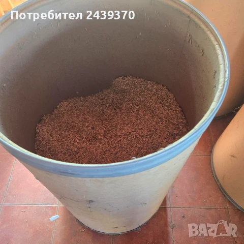 Продавам овес, произведен 2022г