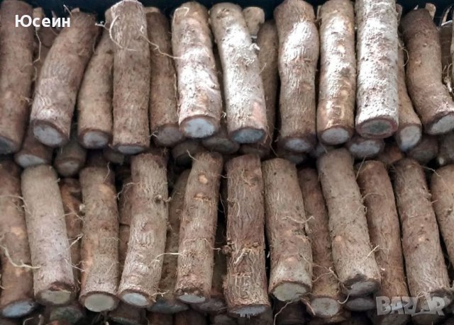 Резници от пауловния 