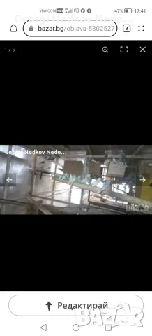 Продавам вълнисти папагали , снимка 2 - Папагали - 55894291