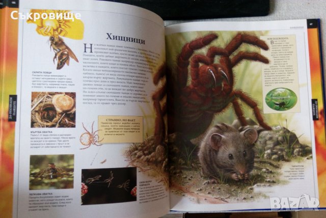 Голяма детска енциклопедия. Том 1: Животни, снимка 4 - Енциклопедии, справочници - 31346964