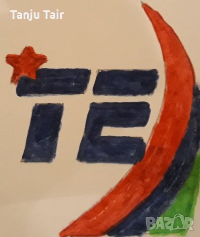 Настройка на Сателитни антени и монтаж