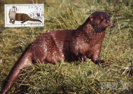 Германска демократична република 1987 - 4 бр. Карти Максимум, снимка 3 - Филателия - 38890538