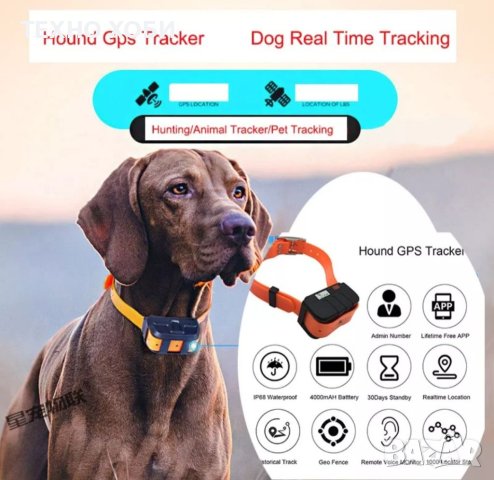 GPS Tracker ДжиПиЕс тракер за ловни кучета и домаш.животни нов модел IK122 PRO HUNTING -водоустойчив, снимка 5 - Други стоки за животни - 40764424