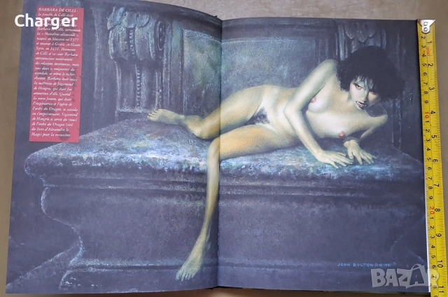 Комикс - Вампирска енциклопедия, снимка 4 - Списания и комикси - 52405349