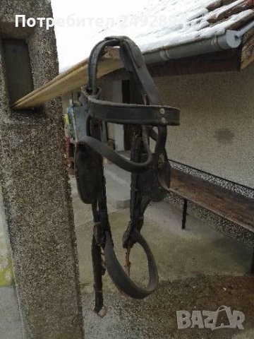 Конски хамут , снимка 2 - Други животни - 37651566