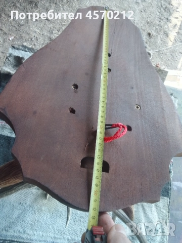 Ловен трофей от благороден елен, Поставка за еленски рога, Дърворезба за механа, Подарък за ловец  , снимка 10 - Декорация за дома - 51578899