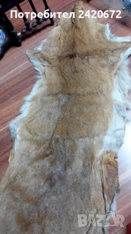 еленова кожа-изгодно