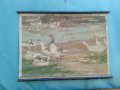 Стара карта, картина,1900г,RRR, снимка 2