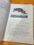 Детски стари книжки, снимка 10