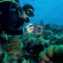 Shellbox Подводен водоустойчив калъф за телефон подводна фотография водолазен кейс за снимки, снимка 6