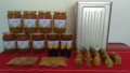 Пчелен мед и пчелни продукти : клеева , (прополисова) тинктура , прашец , тематични восъчни свещи