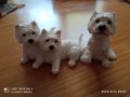  Статуетки West Highland Terrier Колекционерски Статуетки , снимка 1 - Други стоки за дома - 36837096