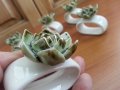 Порцеланови салфетници рингове за салфетки , снимка 4
