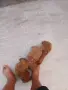 Tyi Mini Pydel Sladyri, снимка 7