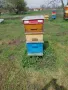 Пчелни кошери, снимка 3