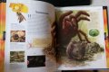 Голяма детска енциклопедия. Том 1: Животни, снимка 4